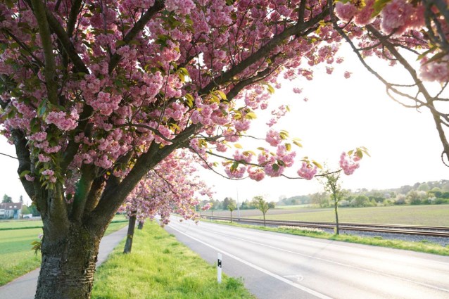 Bundessstraße 3, www.bundesstrasse3.de